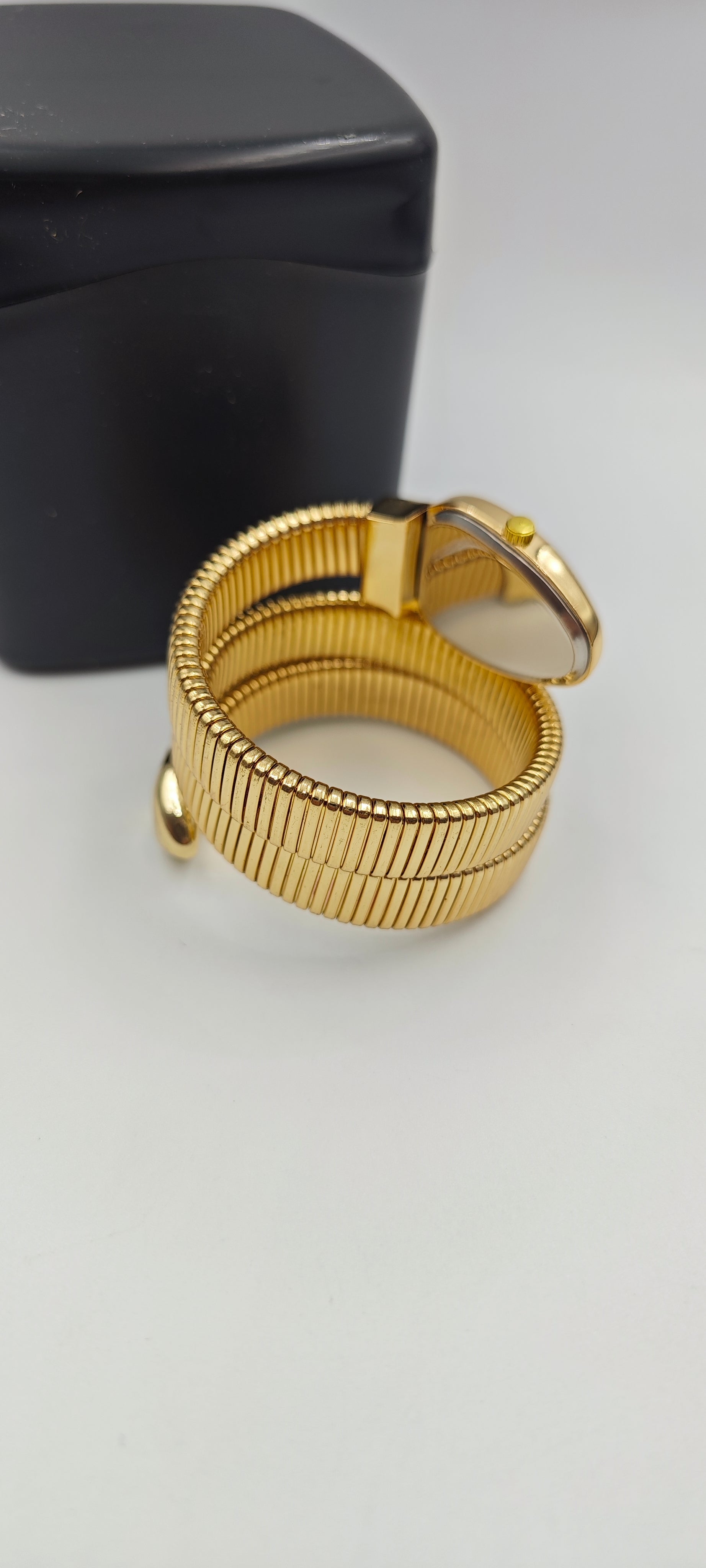 Bvlgari Model