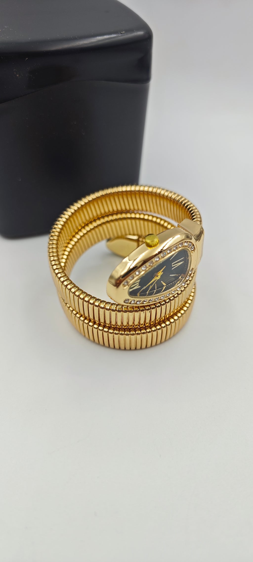 Bvlgari Model